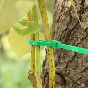Gardening Zip Ties 来源scrollcart.